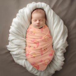 MINI BISCUIT - MOUSSELINE CREVETTES CLASSIQUE (LANGE)